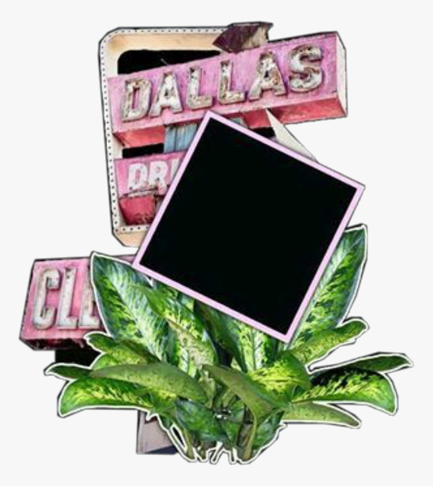 Transparent Dallas Skyline Clipart - Small Plants In Png Format, Png Download, Free Download