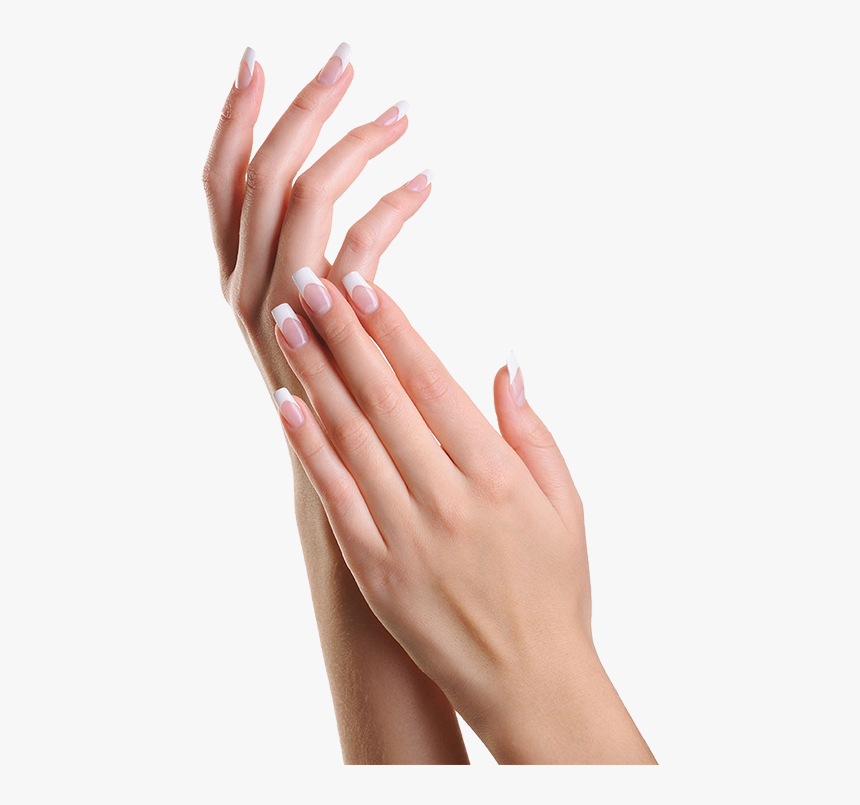 Hands - Get More Feminine Hands, HD Png Download, Free Download