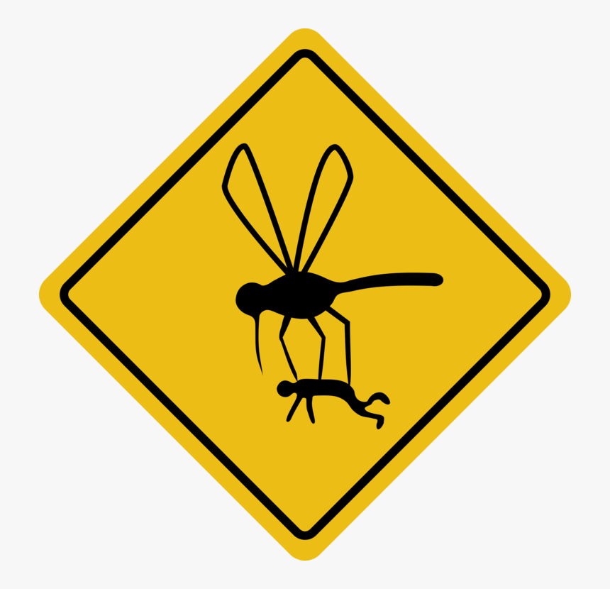 Invertebrate,area,symbol - Mosquito Wisconsin State Bird, HD Png Download, Free Download