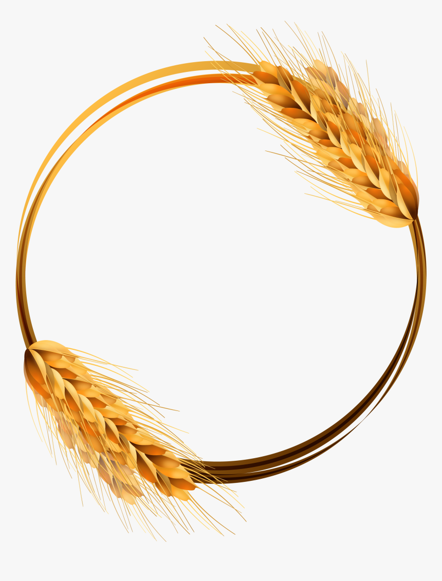 Transparent Wheat Clipart - Wheat Vector Png, Png Download, Free Download