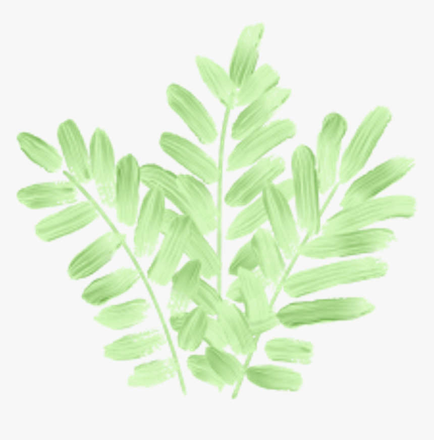 #tumblr #leaves #green #nature #plant #hojas #verde - Мазок Зелений Пнг, HD Png Download, Free Download