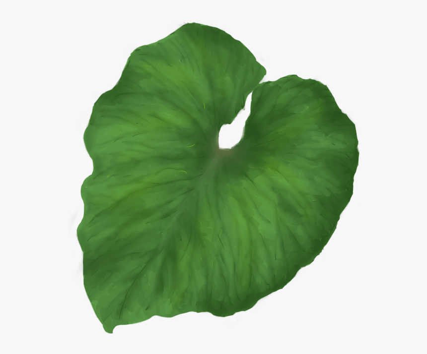 Hoja Verde Soltera - Leaves Png, Transparent Png, Free Download