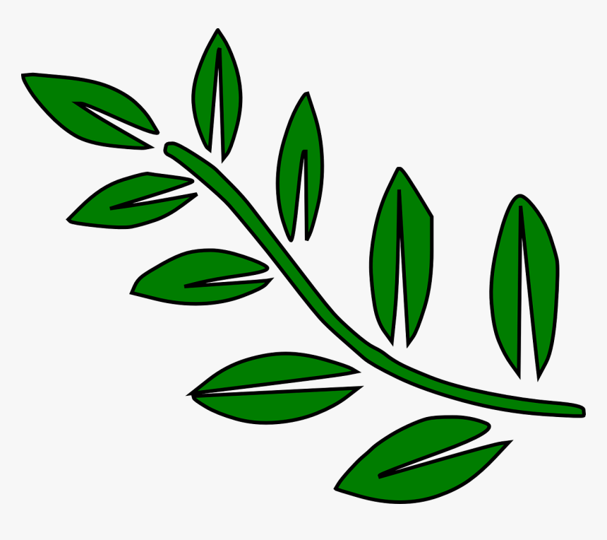 Helecho, Hojas, Verde, Palm, Árbol, Ramas, Rama - Tree Branch Clip Art, HD Png Download, Free Download