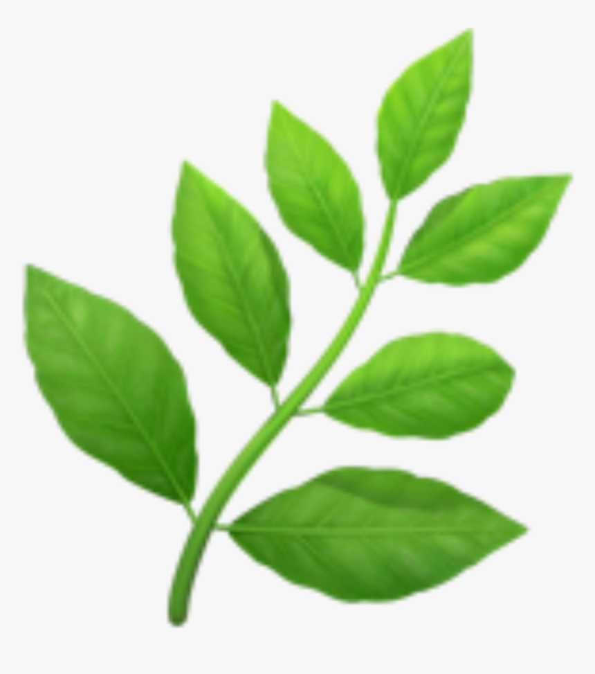 #green #verde #hojasverdes #hojas #emojis - Herb Emoji Transparent, HD Png Download, Free Download