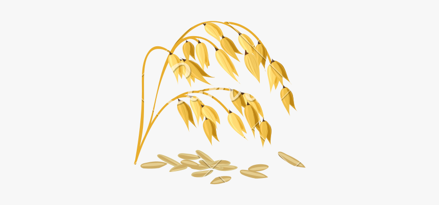Wheat Grain Vector - Getreide Sorten, HD Png Download, Free Download