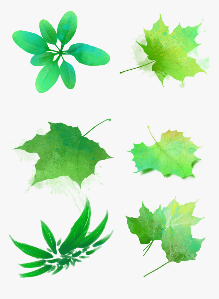 Hojas Verdes Acuarelas Manchas Png Y Psd - Fall Leaf, Transparent Png, Free Download