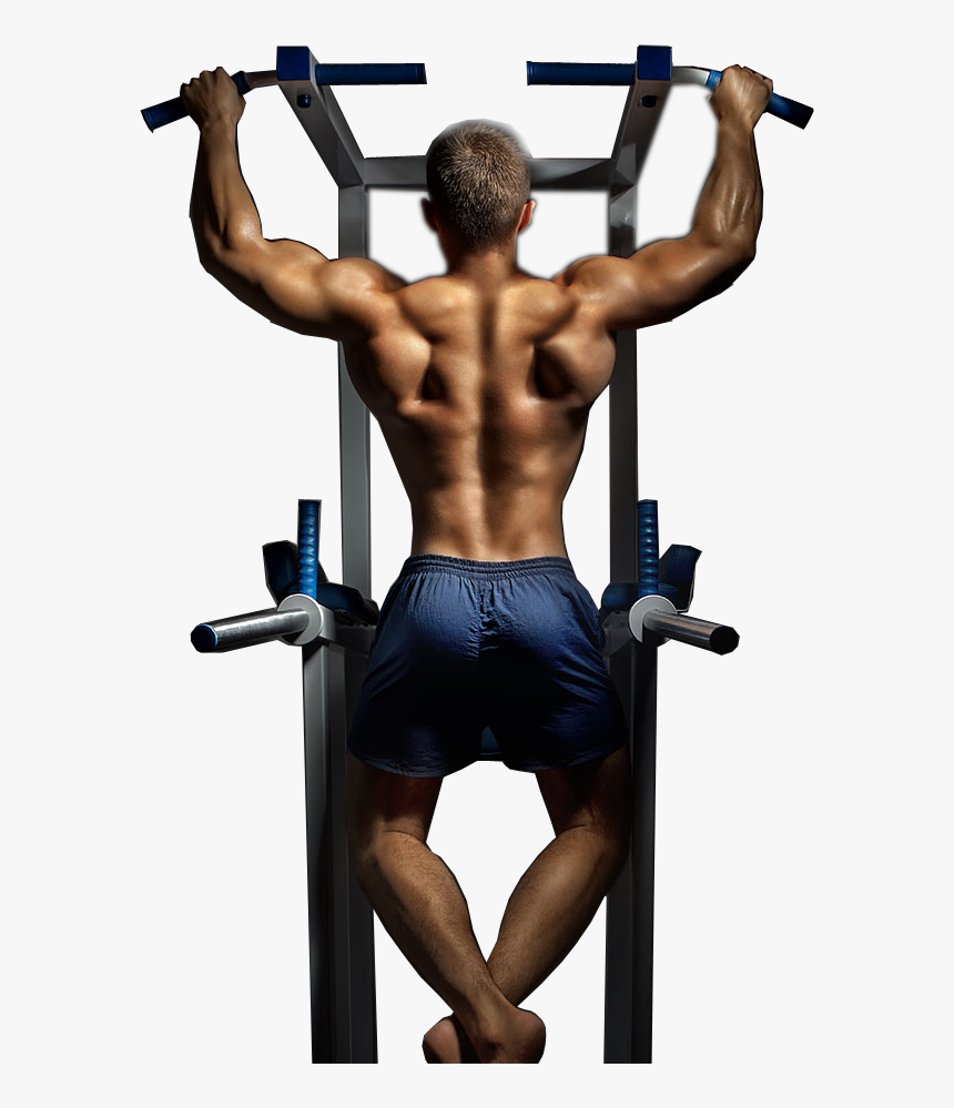 Bodybuilding, HD Png Download, Free Download