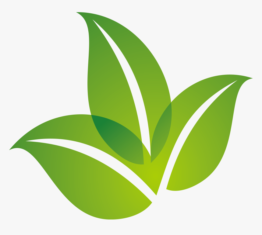 Transparent Background Green Leaf Logo Png, Png Download, Free Download