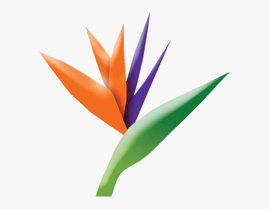 Bird Of Paradise Clipart , Png Download - Bird Of Paradise, Transparent Png, Free Download