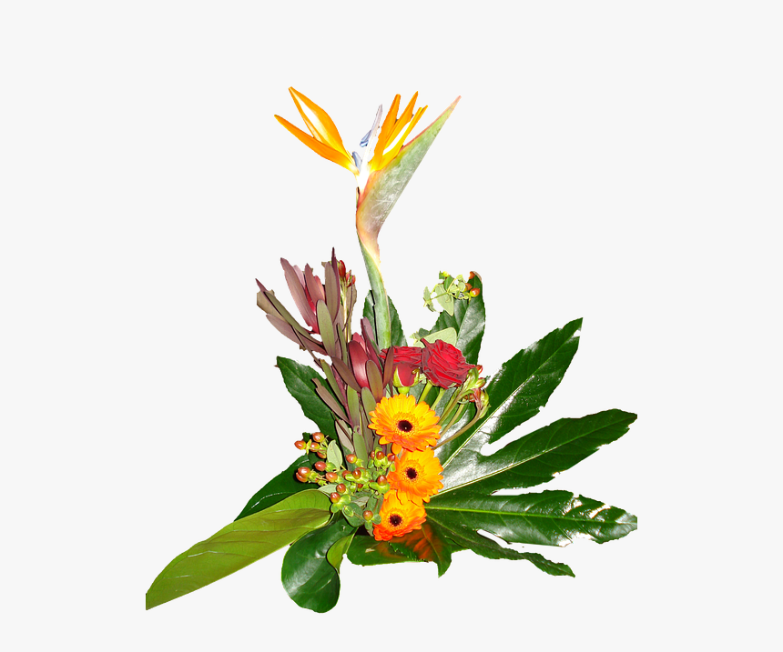 Flower Bouquet, Gerbera, Bird Of Paradise - Paradise Flowers Png, Transparent Png, Free Download