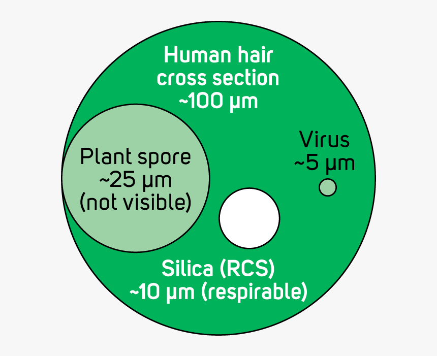 Human Hair Cross Section Versus Silica Particle - Blue Peace Sign, HD Png Download, Free Download
