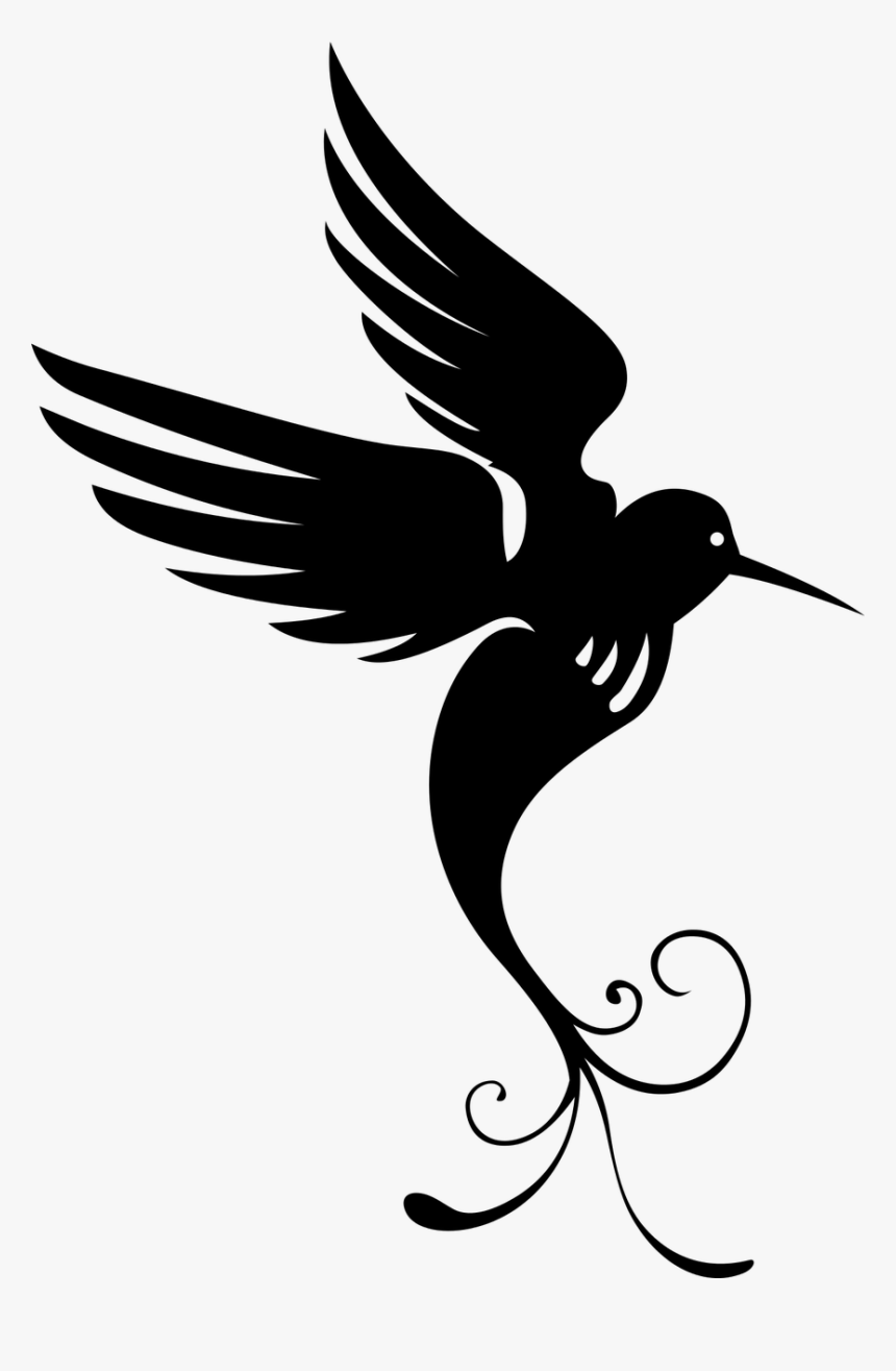Bird Of Paradise Silhouette - Silhouette Of A Hummingbird, HD Png Download, Free Download