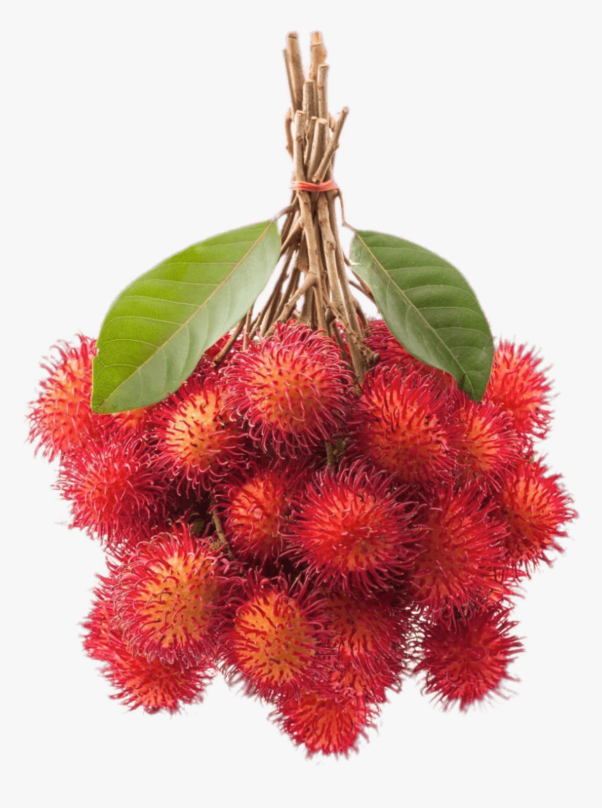 Bunch Of Rambutan - Rambutan Fruit Clipart, HD Png Download, Free Download