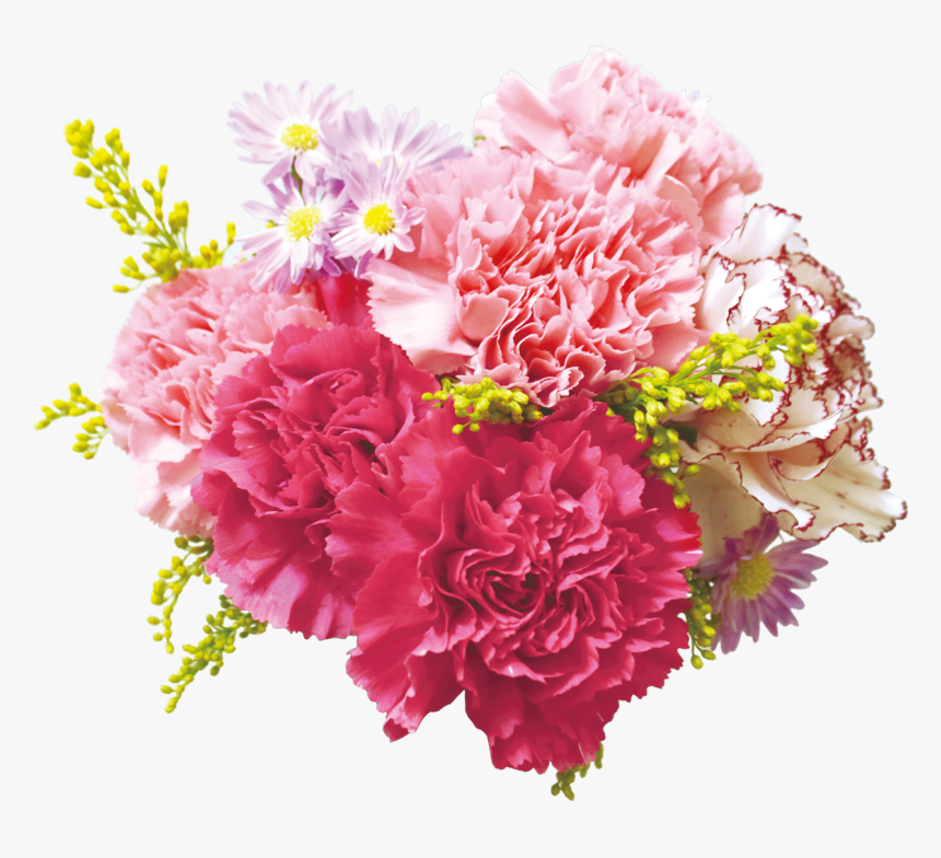 Carnation - Flower Png With Transparent Background, Png Download, Free Download