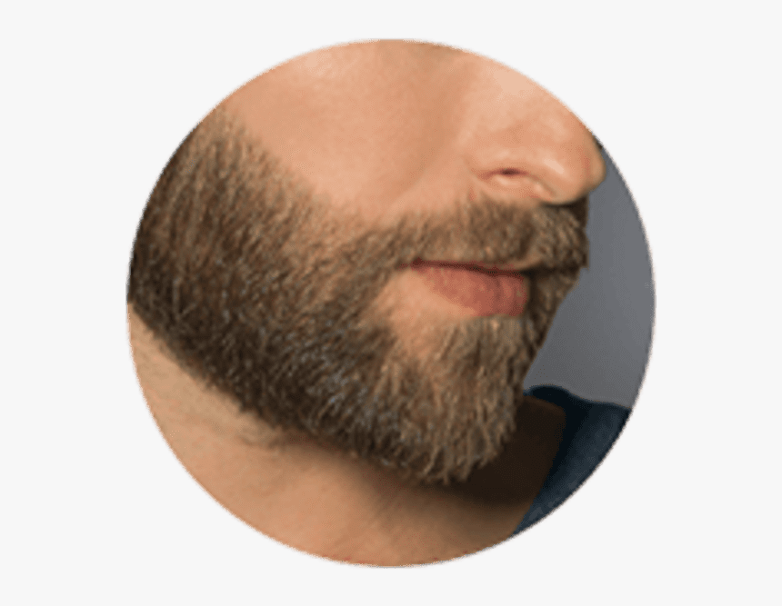 Modern Beard Styles For Guys, HD Png Download, Free Download