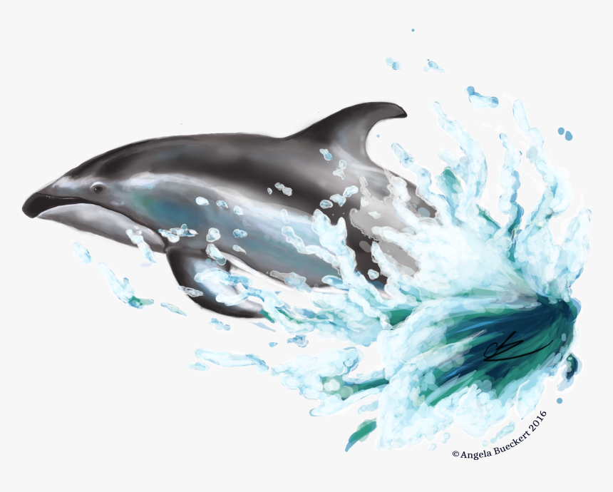 Dolphin Png Images - Dolphin Png, Transparent Png, Free Download