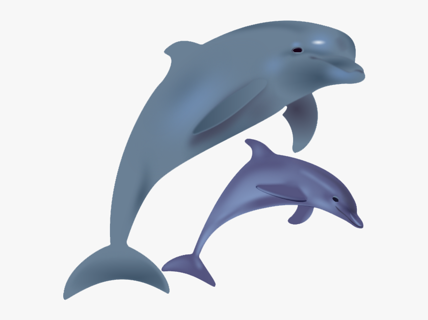 Dolphin Free Png Image - Transparent Dolphin, Png Download, Free Download