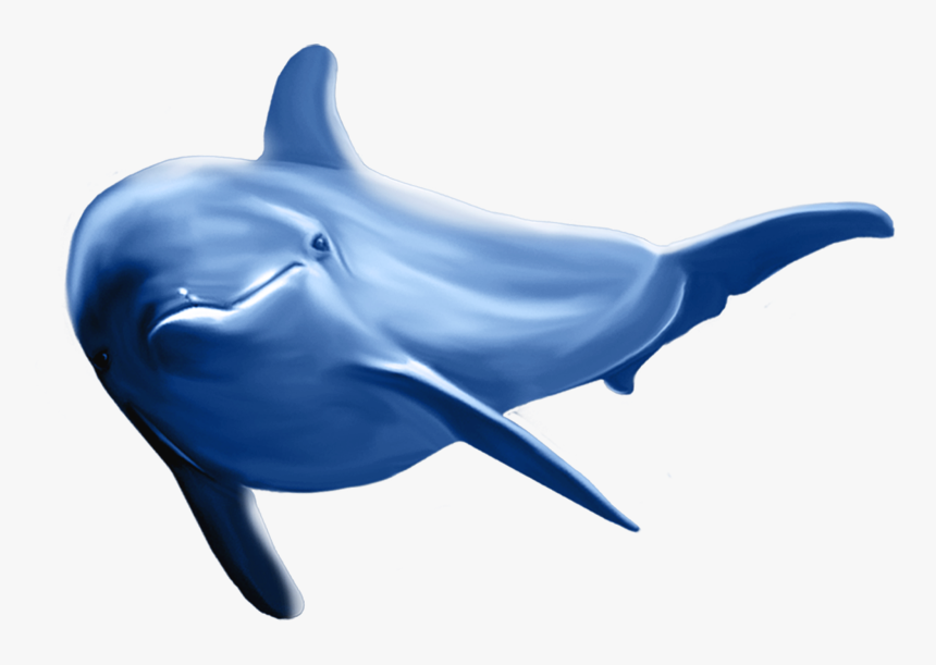 Dolphin Png Clip Art Image - Dolphin Png, Transparent Png, Free Download