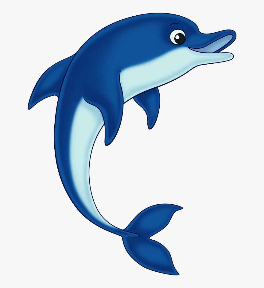 Dolphin Png Photo - Dolphin Clipart, Transparent Png, Free Download