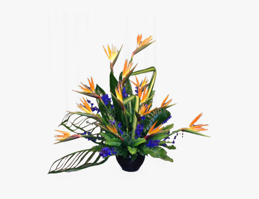 Bird Of Paradise Plant Png, Transparent Png, Free Download