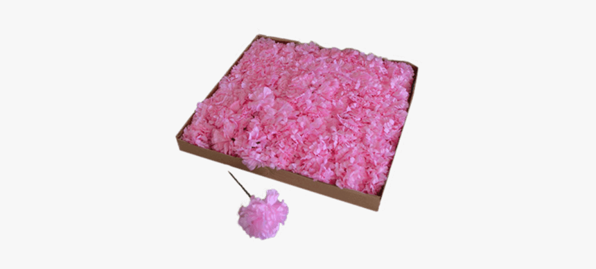 Get A Box Of Pink Carnations To Insert Into Your Media - Hydrangea, HD Png Download, Free Download