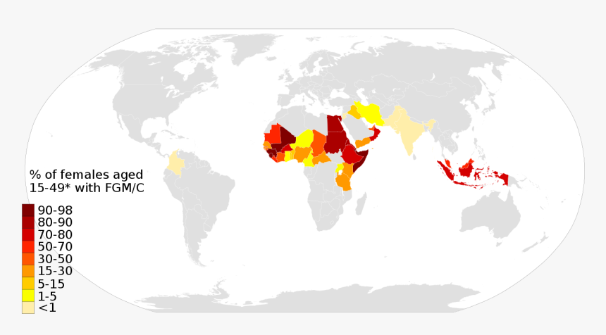 Genital Mutilations Female Religion, HD Png Download, Free Download