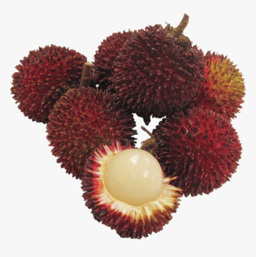 Pulasan Fruit, HD Png Download, Free Download