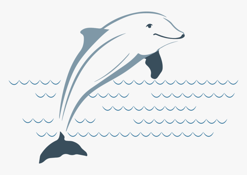 Transparent Dolphin Png, Png Download, Free Download