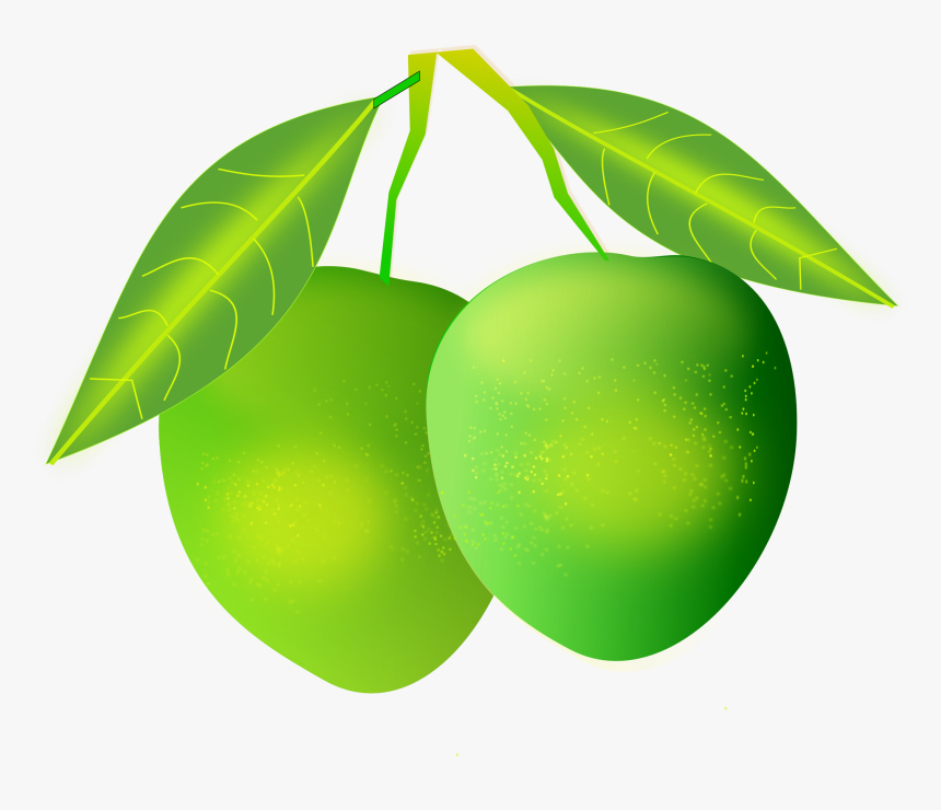 Mango Png Image - Mango Png, Transparent Png, Free Download