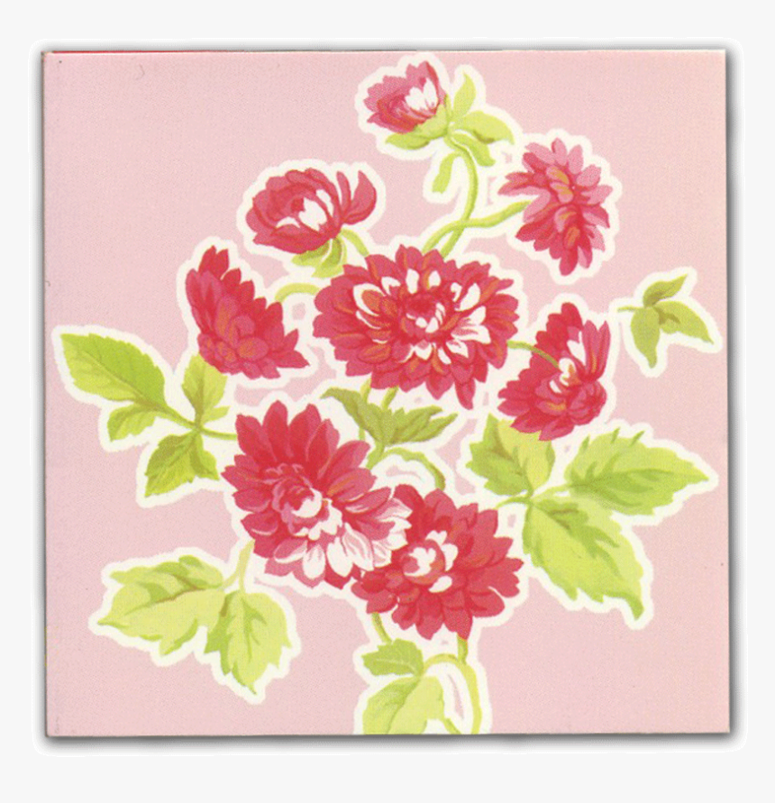 Pink Carnation - Chrysanths, HD Png Download, Free Download