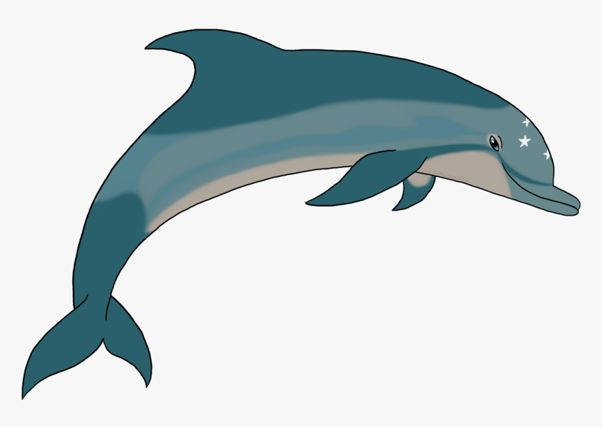 Ecco The Dolphin Png - Common Bottlenose Dolphin, Transparent Png, Free Download