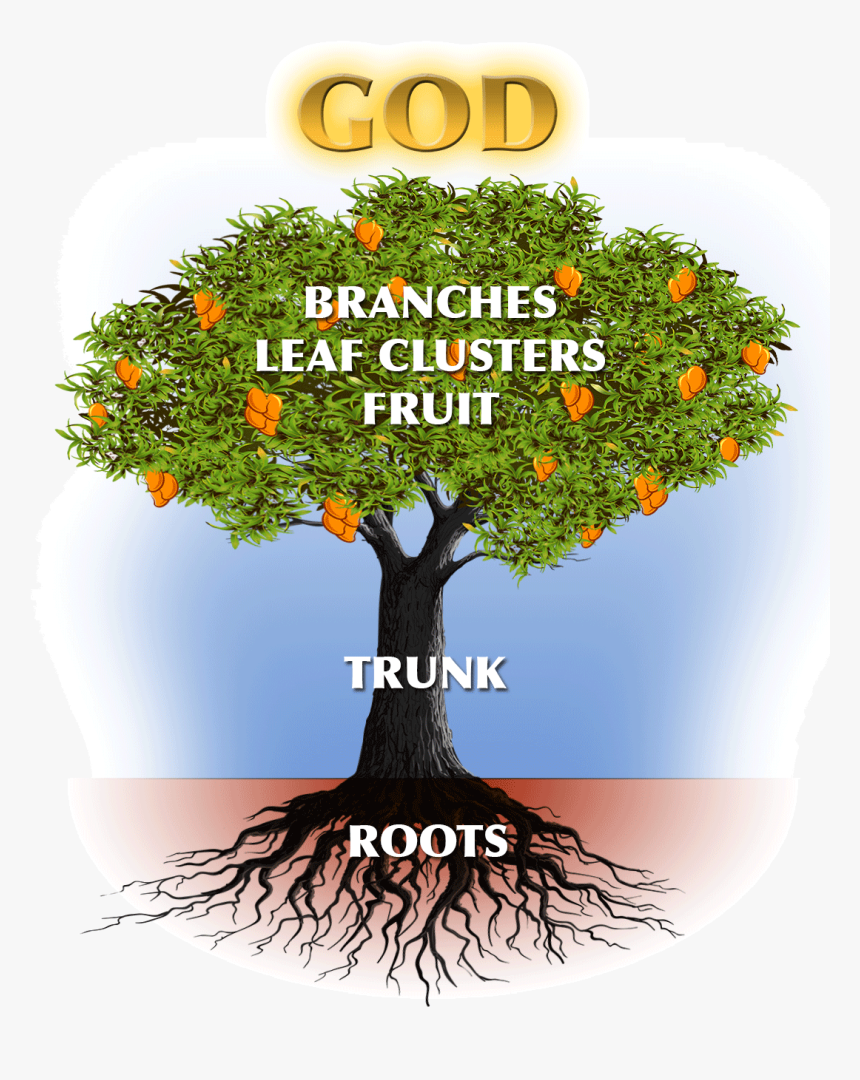 Mango Tree With Roots, HD Png Download, Free Download