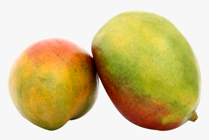 Transparent Mango Tree Png - Portable Network Graphics, Png Download, Free Download