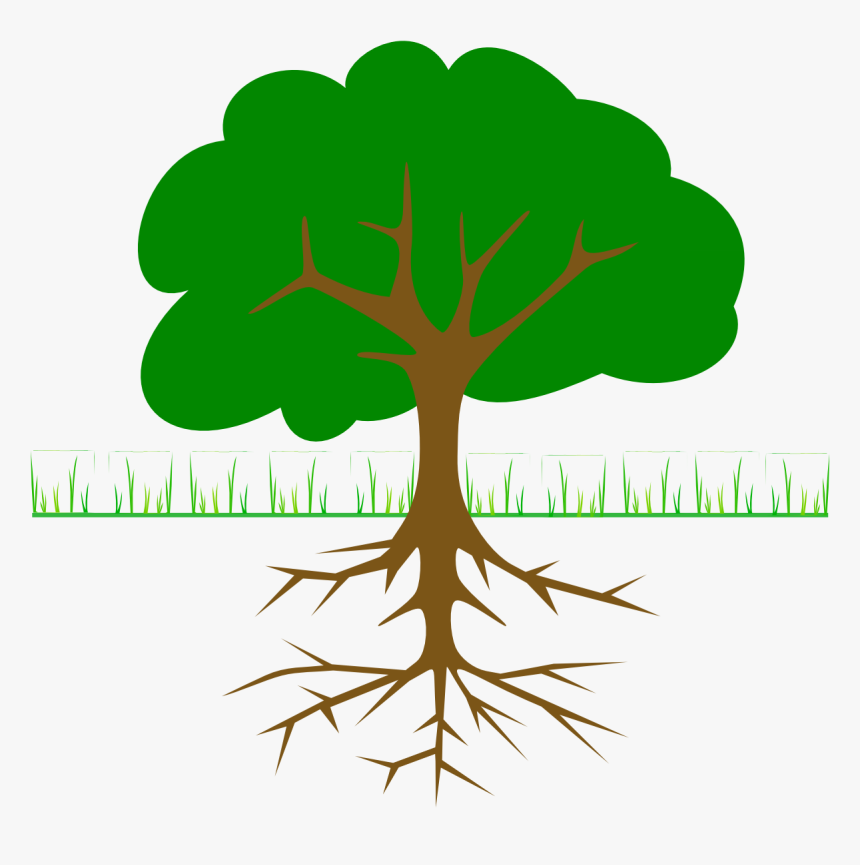 Tree Branch Clip Art Download - Trees With Roots Clipart, HD Png Download, Free Download