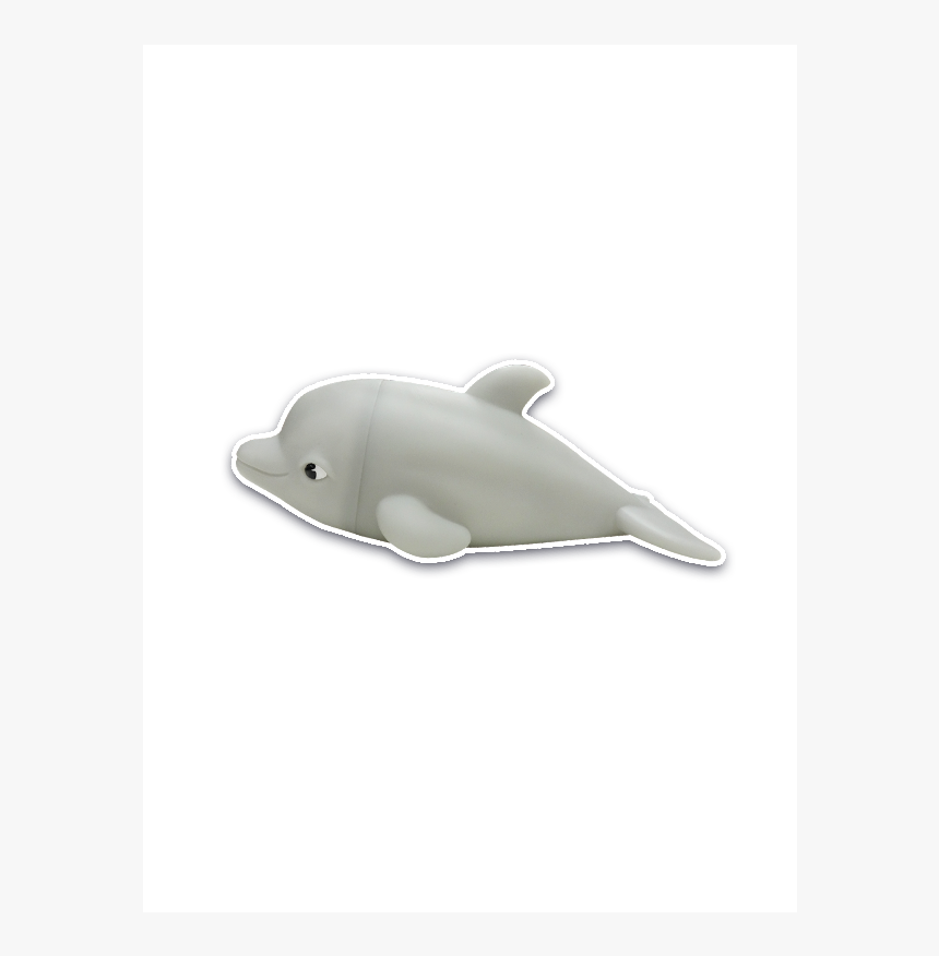 Common Bottlenose Dolphin, HD Png Download, Free Download