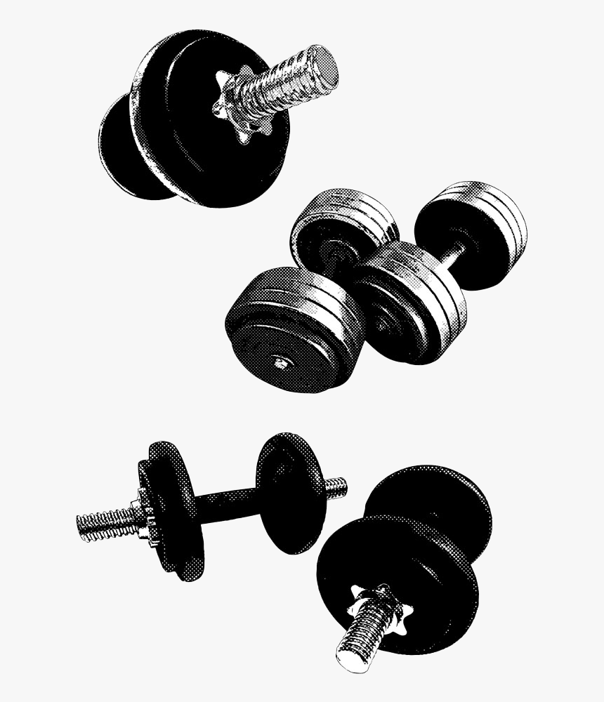 Transparent Dumbbell Clipart Png - Exercise Equipment, Png Download, Free Download