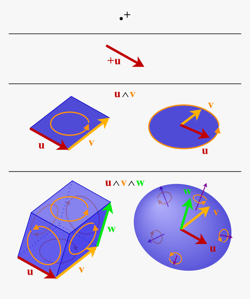 Tensor Vs Vector, HD Png Download, Free Download