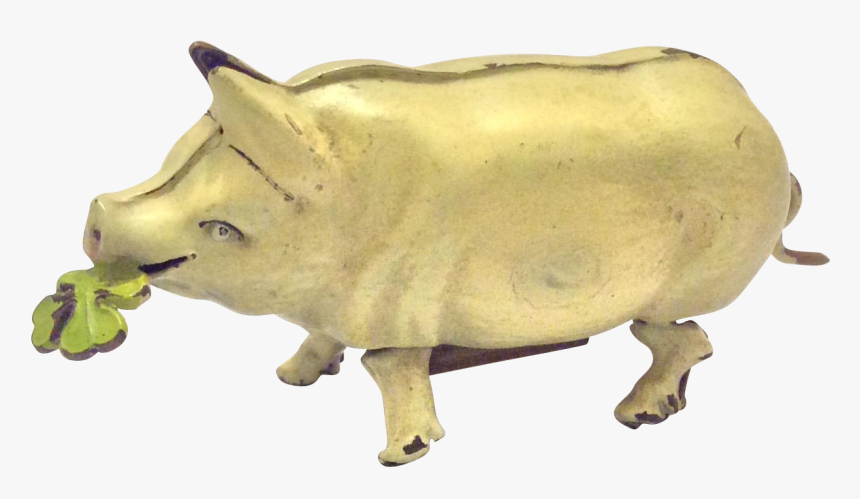 Domestic Pig, HD Png Download, Free Download