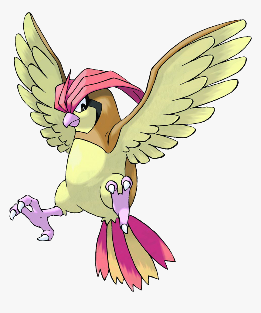 Pokemon Pidgeoto, HD Png Download, Free Download