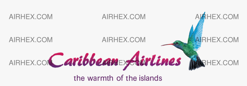 Caribbean Airlines - Piciformes, HD Png Download, Free Download