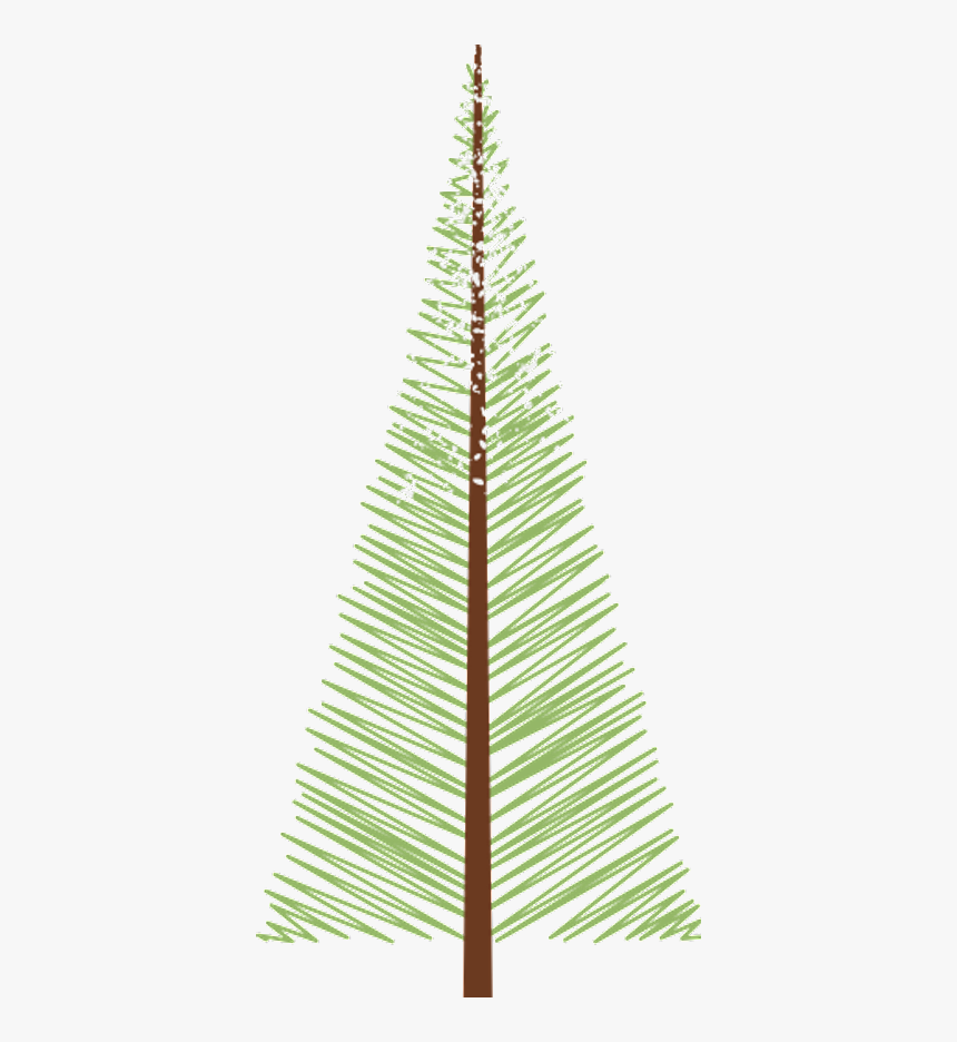 Christmas Tree, HD Png Download, Free Download