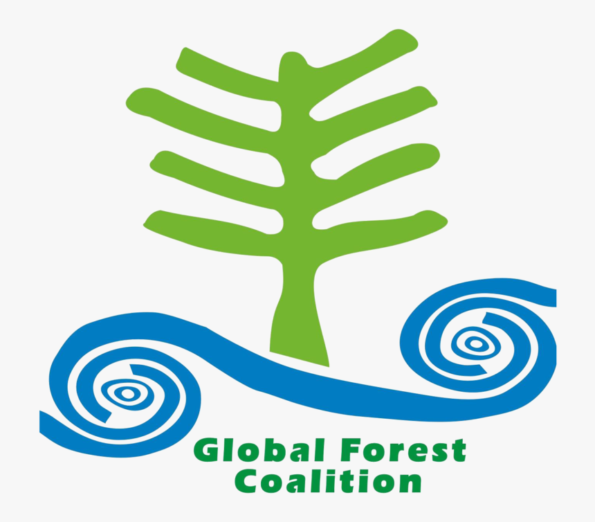 Global Forest Coalition, HD Png Download, Free Download