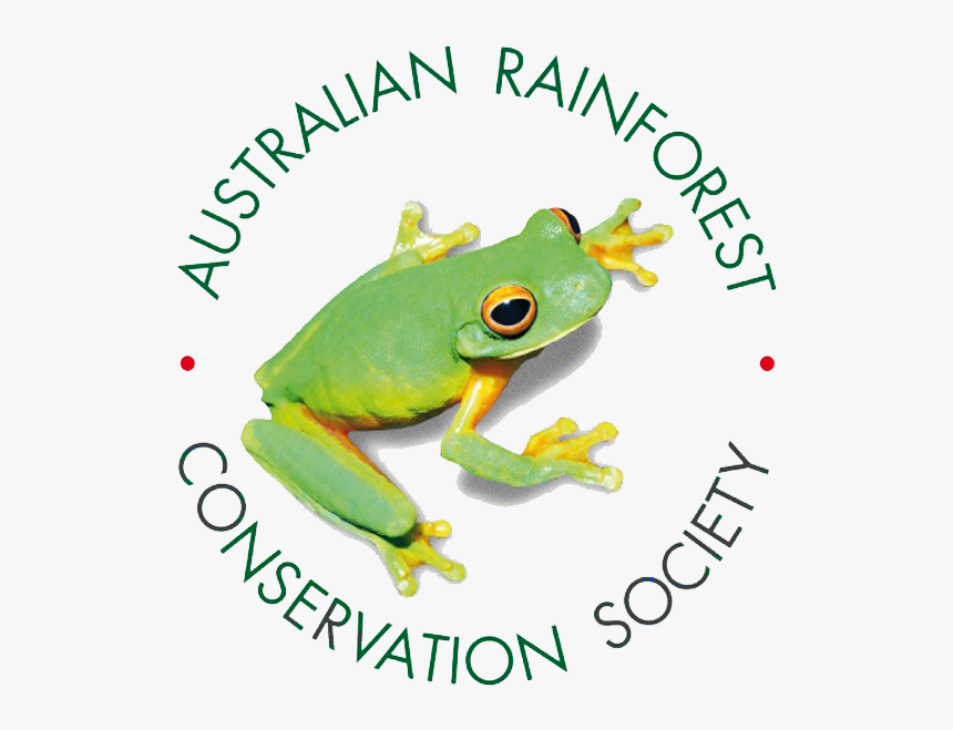 Arcs Logo - Charities Trying To Conserve The Rainforest, HD Png Download, Free Download