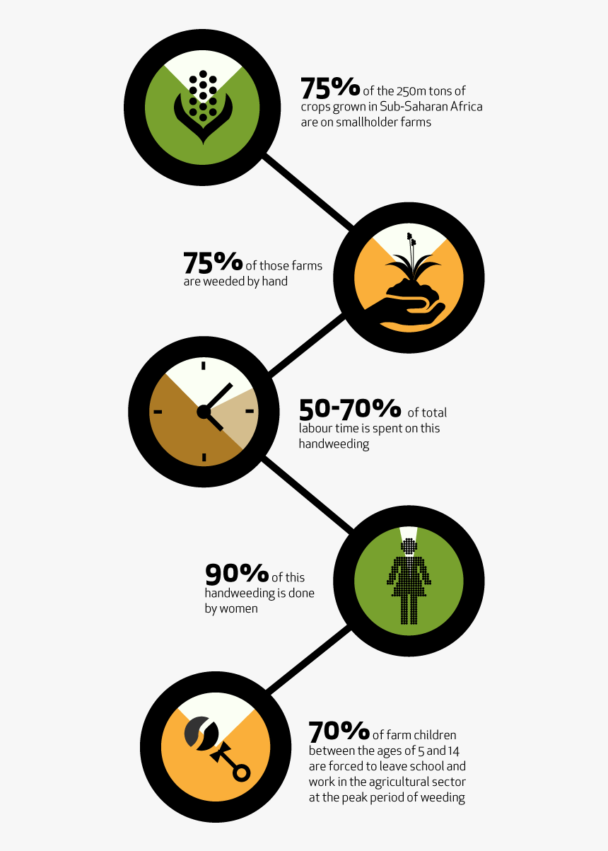 Infographic Agriculture Png, Transparent Png, Free Download