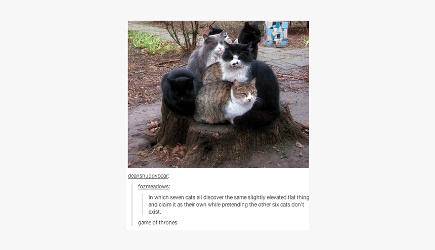 Cats On Tree Stump, HD Png Download, Free Download