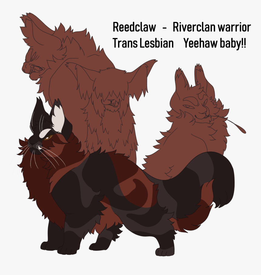 Image - Maine Coon Warrior Cats, HD Png Download, Free Download