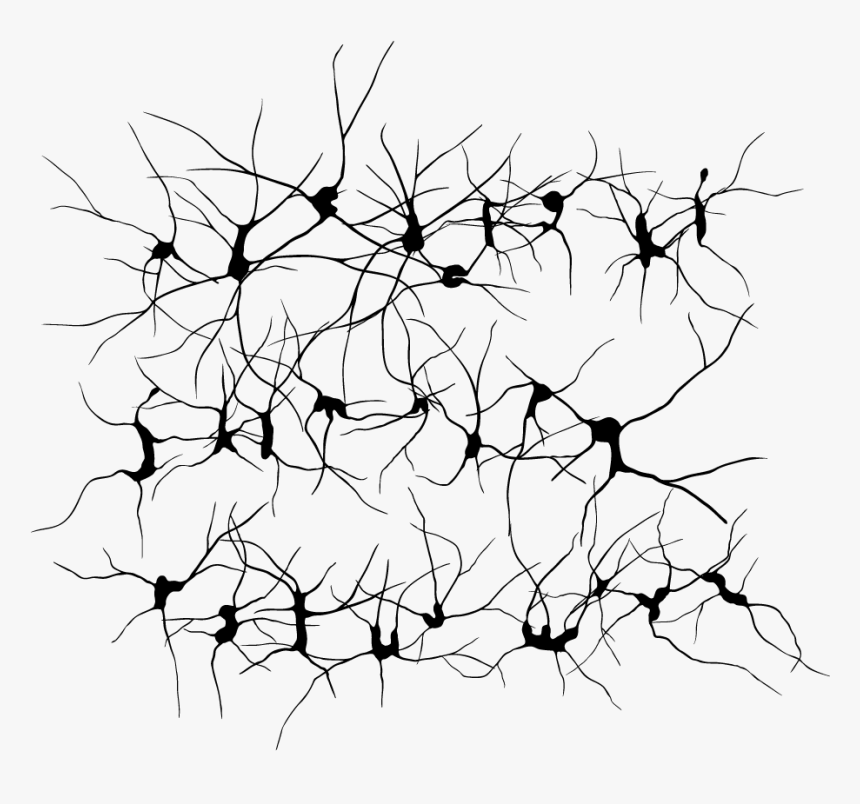 Thumb Image - Neurons Png, Transparent Png, Free Download