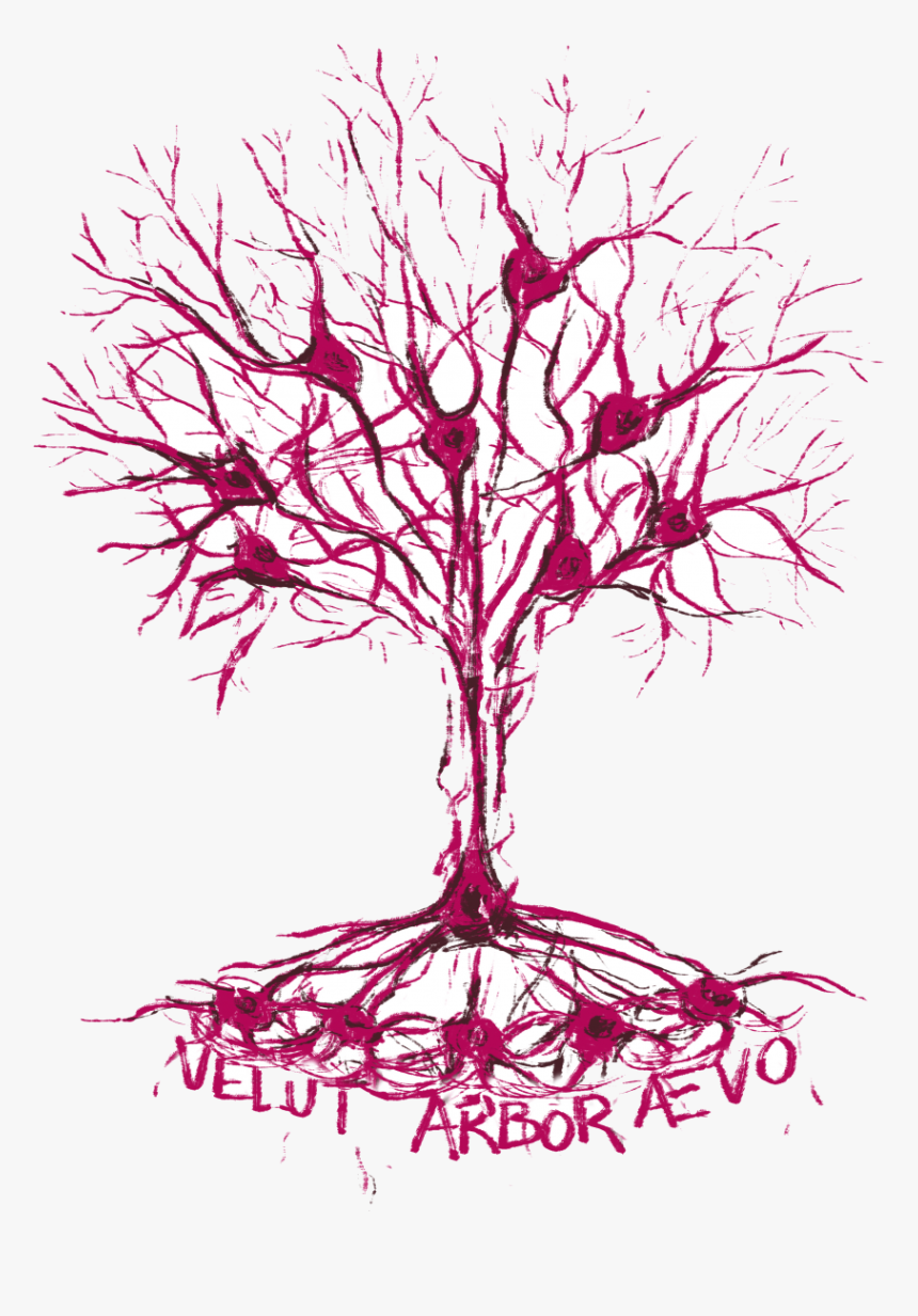 Getting The Neurons Firing - Illustration, HD Png Download, Free Download