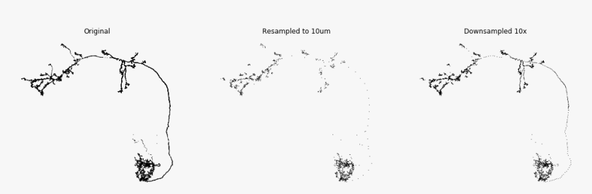 / Images/source Resample Neurons 5 0 - Line Art, HD Png Download, Free Download