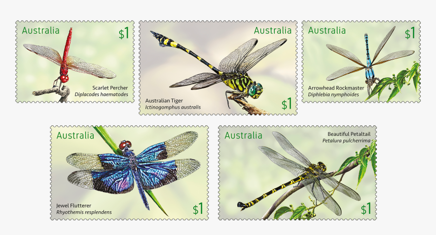 Australia Dragonflies Stamps, HD Png Download, Free Download